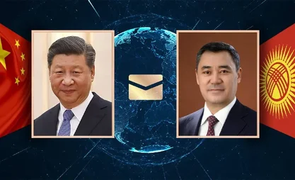 213.webp