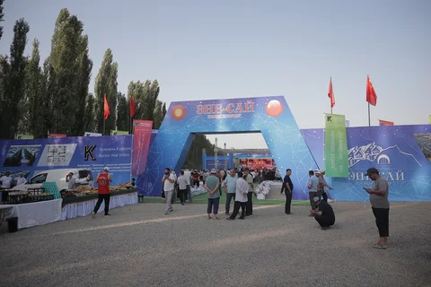 213.webp