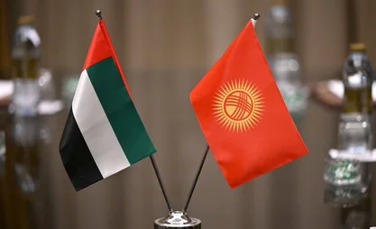 216.jpg
