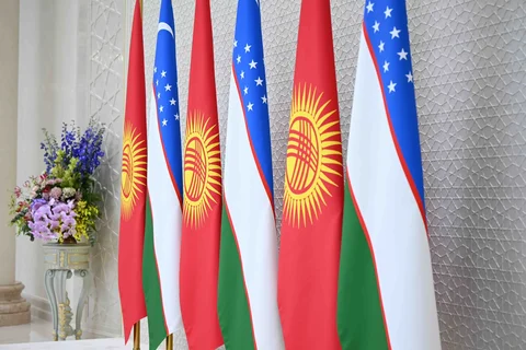 216.webp