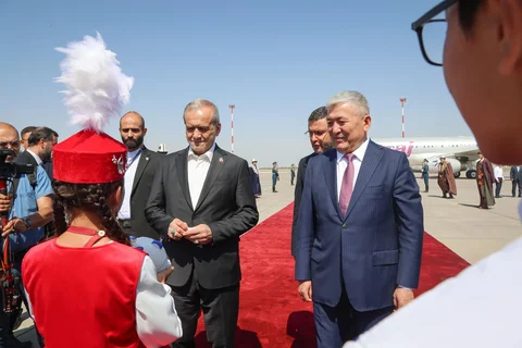 219.webp