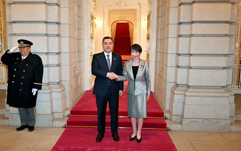 232.webp