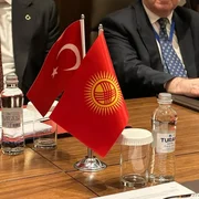243.webp