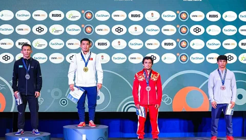 24.webp