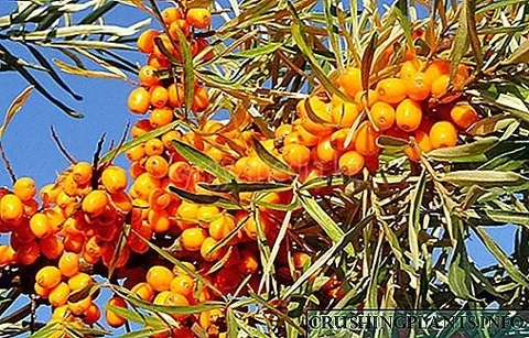 256.webp