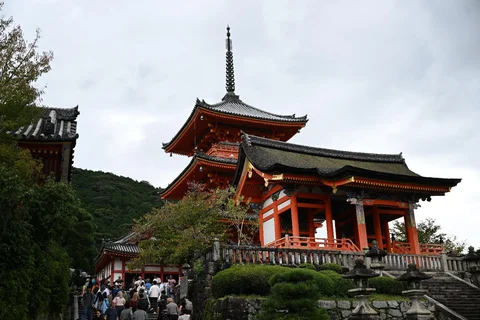 26.webp