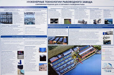 26.webp