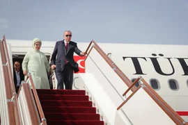 274.webp