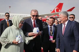 275.webp