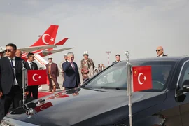 284.webp