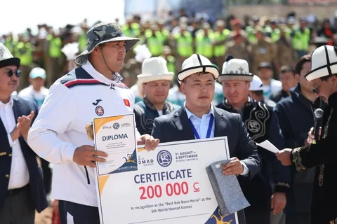 28.webp