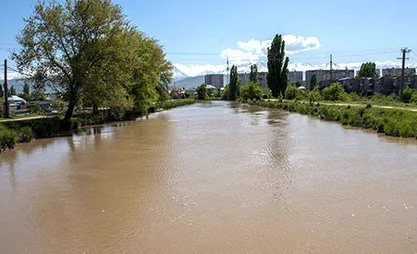 297.jpg