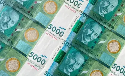 ارتفاع دخل سكان الجمهورية القرغيزية بنسبة 19% خلال الأشهر التسعة الأولى من 2024