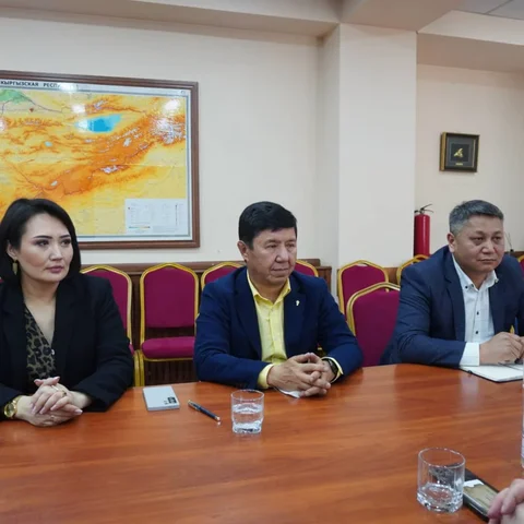 310.webp