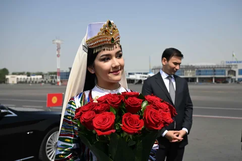 311.webp
