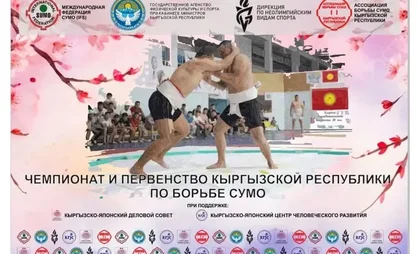 313.webp