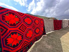 360.webp