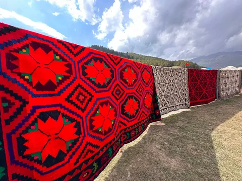360.webp