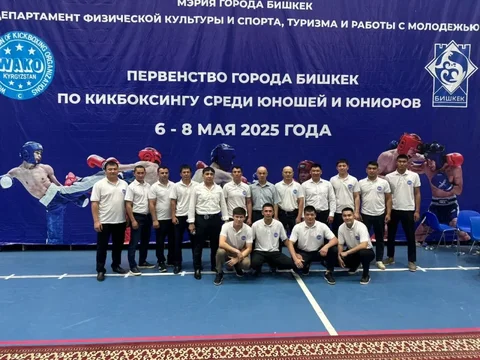 367.webp