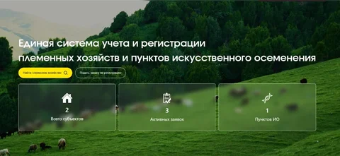 391.webp