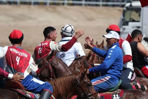 39.webp