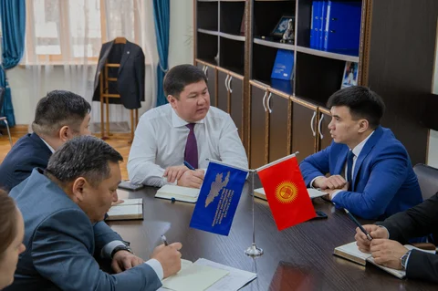 403.jpg