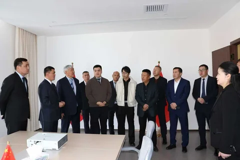 42.webp