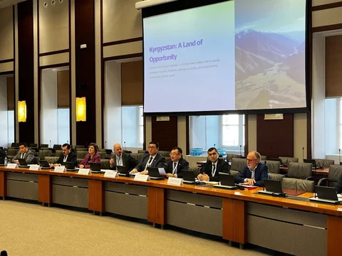 435.webp