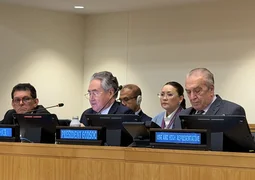 43.webp