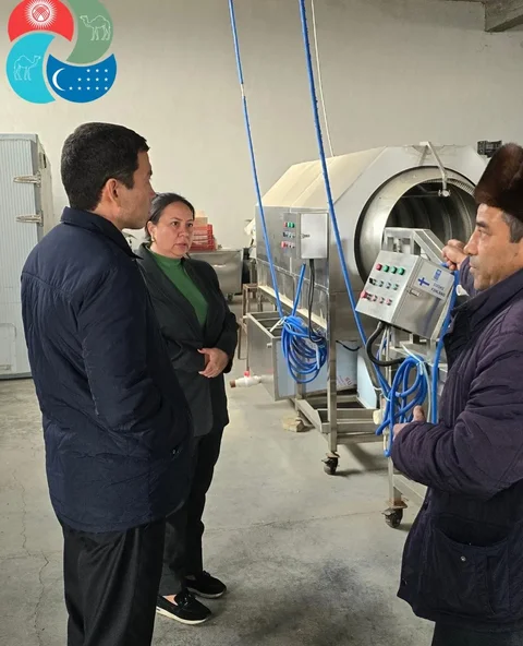 44.webp