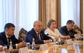 44.webp