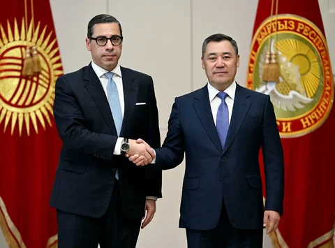 45.webp