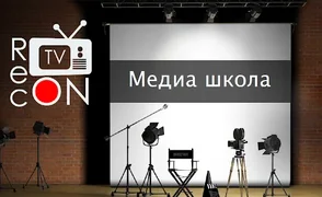 478.webp