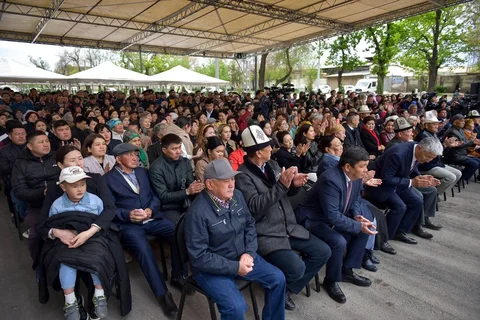 535.webp