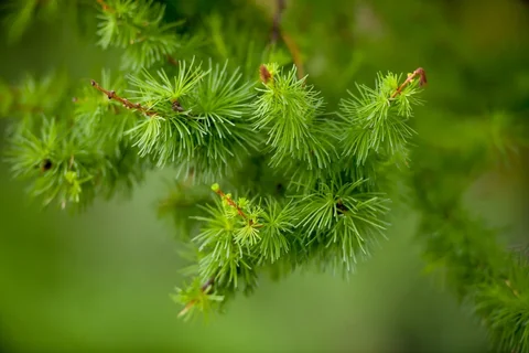 608.webp