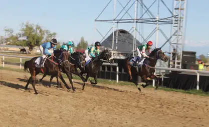 بطولة وطنية لسباق الخيل "موراس" تُقام في إيسيك كول