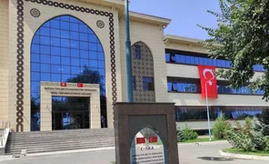 66.webp