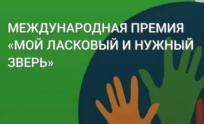 795.jpg