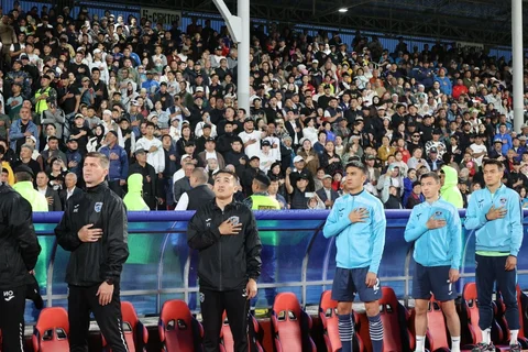 80.webp