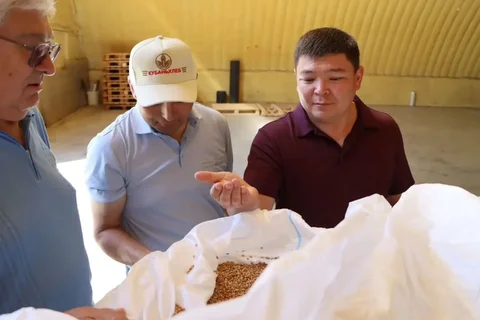 80.webp