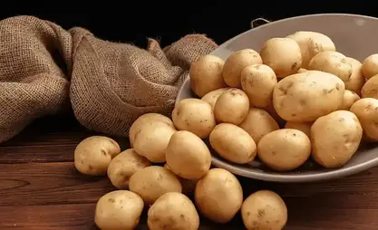 قرغيزستان تفرض قيودًا مؤقتة على استيراد البطاطس
