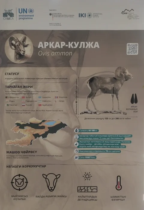 863.webp