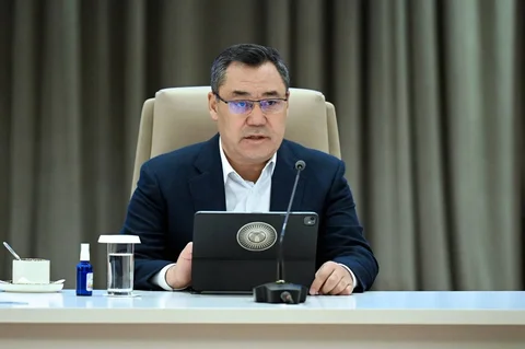 86.webp